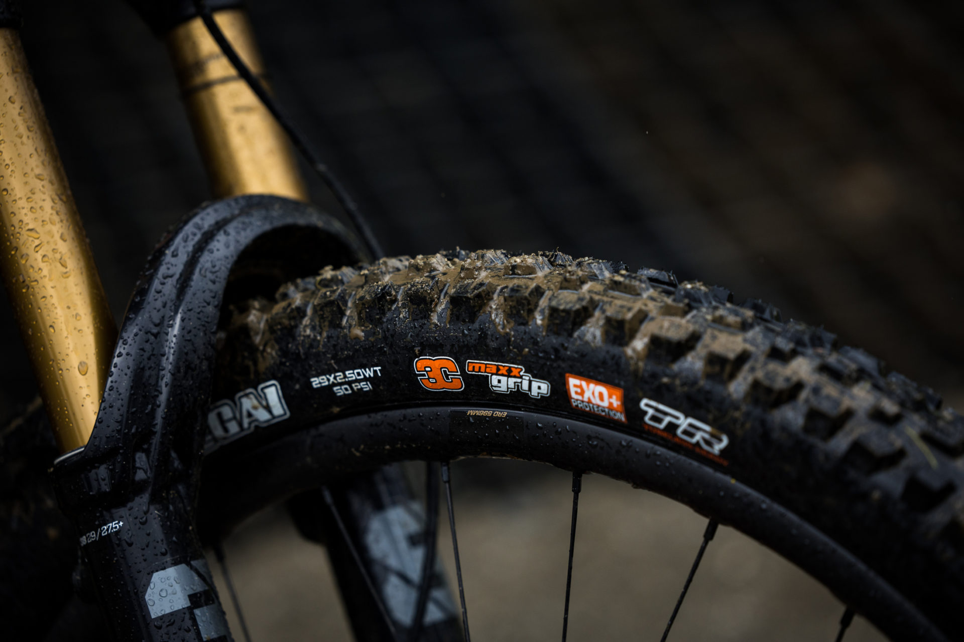 LLANTA MAXXIS MINION DHR II EXO TLR 27.5X2.40 TANWALL