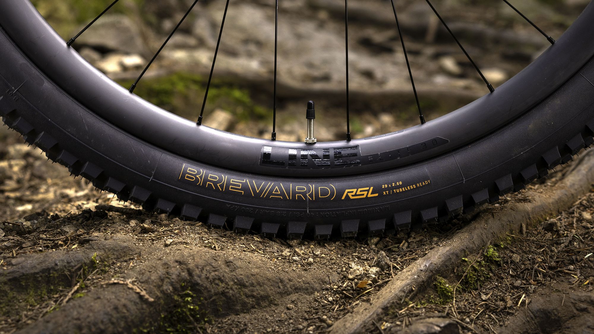Llanta de Grava Bontrager Girona Pro TLR
